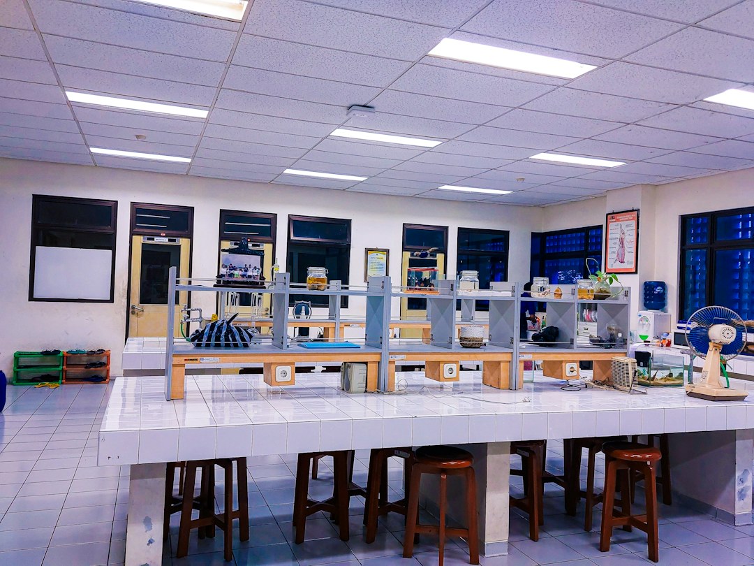 University students working on a laptop in a shared study area; illustrative image, not a FAST campus photograph